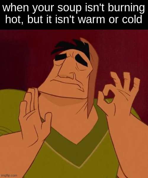 fr, its the temp that you can spoon a big spoonful into your mouth but it doesn't burn | when your soup isn't burning hot, but it isn't warm or cold | image tagged in when x just right,lol | made w/ Imgflip meme maker