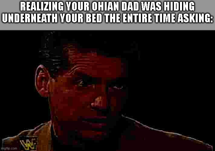 VINCE MCMAHON | REALIZING YOUR OHIAN DAD WAS HIDING UNDERNEATH YOUR BED THE ENTIRE TIME ASKING: | image tagged in vince mcmahon | made w/ Imgflip meme maker