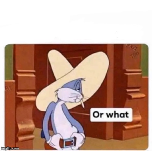 Bugs or what | image tagged in bugs or what | made w/ Imgflip meme maker