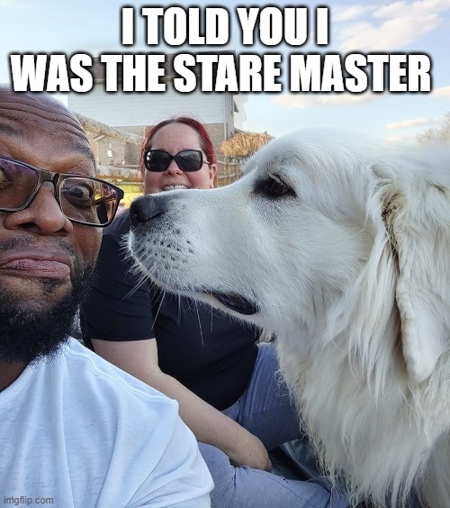 Stare Master Pooch | I TOLD YOU I WAS THE STARE MASTER | image tagged in dogs,funny animals,animals,funny memes,fun | made w/ Imgflip meme maker