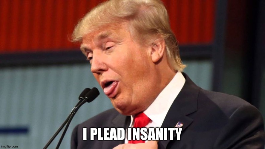 Stupid trump | I PLEAD INSANITY | image tagged in stupid trump | made w/ Imgflip meme maker
