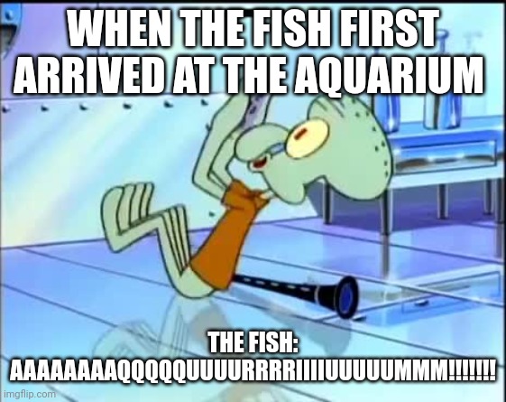 Aquarium!!!! | WHEN THE FISH FIRST ARRIVED AT THE AQUARIUM; THE FISH: AAAAAAAAQQQQQUUUURRRRIIIIUUUUUMMM!!!!!!! | image tagged in future squidward | made w/ Imgflip meme maker