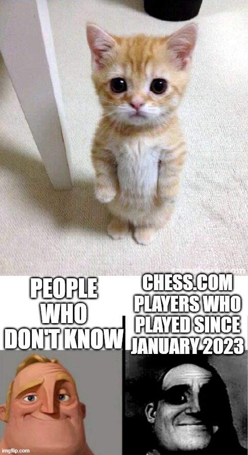 PEOPLE WHO DON'T KNOW; CHESS.COM PLAYERS WHO PLAYED SINCE JANUARY 2023 | image tagged in memes,cute cat,teacher's copy,chess,mittens | made w/ Imgflip meme maker