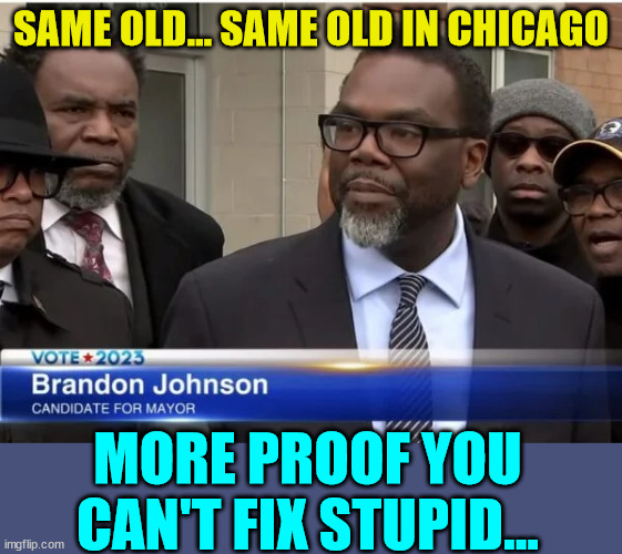 Keep voting the same way and expect things to get better... now that's stupid... | SAME OLD... SAME OLD IN CHICAGO; MORE PROOF YOU CAN'T FIX STUPID... | image tagged in stupid people | made w/ Imgflip meme maker