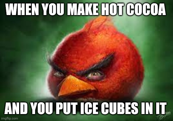 Why would you put ice in something hot like hot cocoa?!?!? | WHEN YOU MAKE HOT COCOA; AND YOU PUT ICE CUBES IN IT | image tagged in realistic red angry birds | made w/ Imgflip meme maker