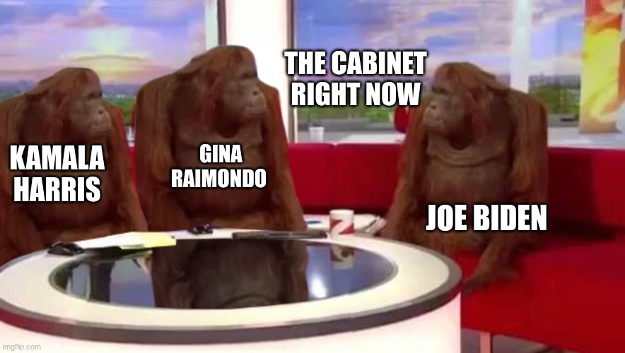 where monkey | THE CABINET RIGHT NOW; GINA RAIMONDO; KAMALA HARRIS; JOE BIDEN | image tagged in where monkey | made w/ Imgflip meme maker