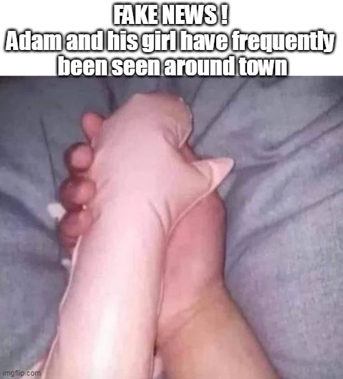 FAKE NEWS !
Adam and his girl have frequently  been seen around town | made w/ Imgflip meme maker
