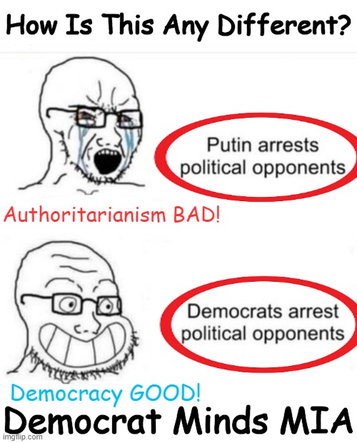 Cats are Cats, Dogs are Dogs, and Democrats Make It Up As They Go. | How Is This Any Different? Authoritarianism BAD! Democracy GOOD! Democrat Minds MIA | image tagged in politics,political humor,democracy,democrats,putin,they're the same picture | made w/ Imgflip meme maker
