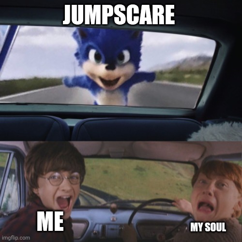Me and my soul during a jumpscare | JUMPSCARE; ME; MY SOUL | image tagged in harry and ron scream | made w/ Imgflip meme maker