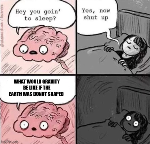 What would gravity be like if earth was donut shaped | WHAT WOULD GRAVITY BE LIKE IF THE EARTH WAS DONUT SHAPED | image tagged in waking up brain | made w/ Imgflip meme maker