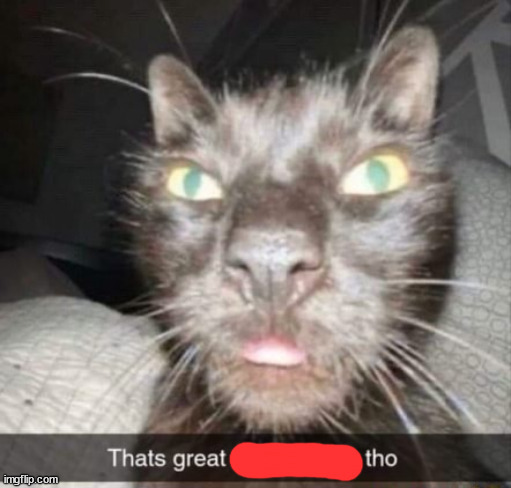 Danm Thats Crazy | image tagged in danm thats crazy | made w/ Imgflip meme maker