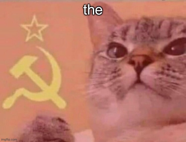 communism cat | the | image tagged in communism cat | made w/ Imgflip meme maker
