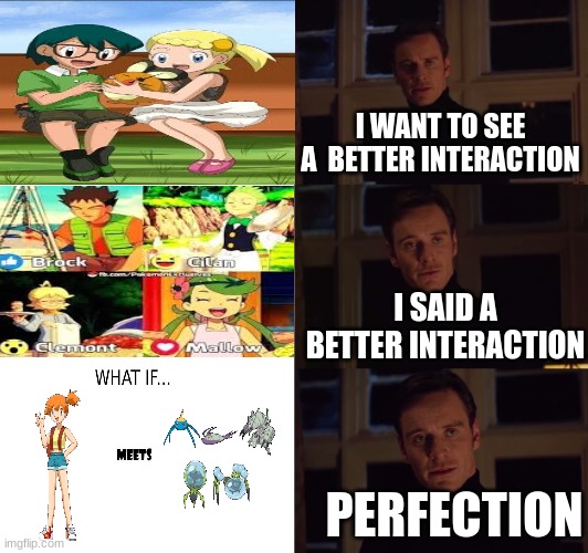 Interactions I'd Kill to See | I WANT TO SEE A  BETTER INTERACTION; I SAID A BETTER INTERACTION; PERFECTION | image tagged in perfection,pokemon | made w/ Imgflip meme maker