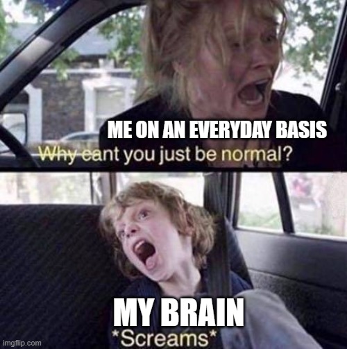 Stupid brain | ME ON AN EVERYDAY BASIS; MY BRAIN | image tagged in why can't you just be normal,my brain,memes,funny,relatable,pain | made w/ Imgflip meme maker