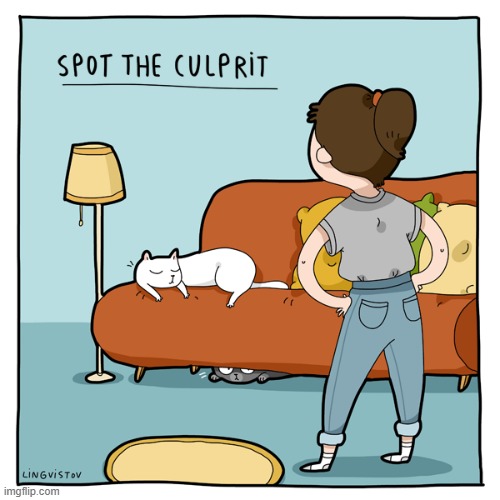 A Cat Lady's Way Of Thinking | image tagged in memes,comics/cartoons,cat lady,spot the difference,cats,good vs evil | made w/ Imgflip meme maker