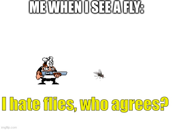 I wish they did not exist | ME WHEN I SEE A FLY:; I hate flies, who agrees? | image tagged in fun | made w/ Imgflip meme maker