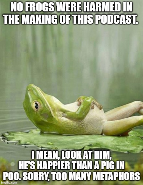 frog | NO FROGS WERE HARMED IN THE MAKING OF THIS PODCAST. I MEAN, LOOK AT HIM, HE'S HAPPIER THAN A PIG IN POO. SORRY, TOO MANY METAPHORS | image tagged in frog | made w/ Imgflip meme maker