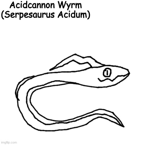 new wyrm | Acidcannon Wyrm
(Serpesaurus Acidum) | made w/ Imgflip meme maker