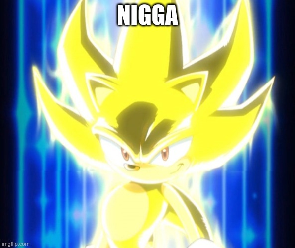 Super Sonic meme | NIGGA | image tagged in super sonic meme | made w/ Imgflip meme maker