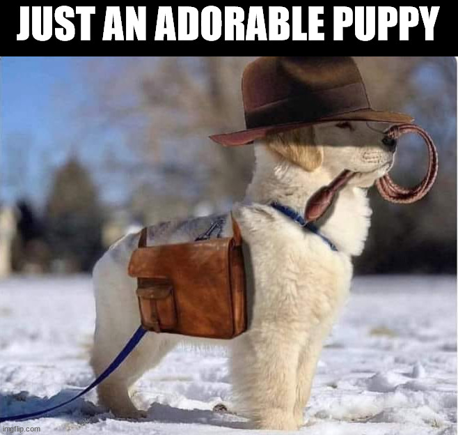 JUST AN ADORABLE PUPPY | image tagged in wholesome | made w/ Imgflip meme maker