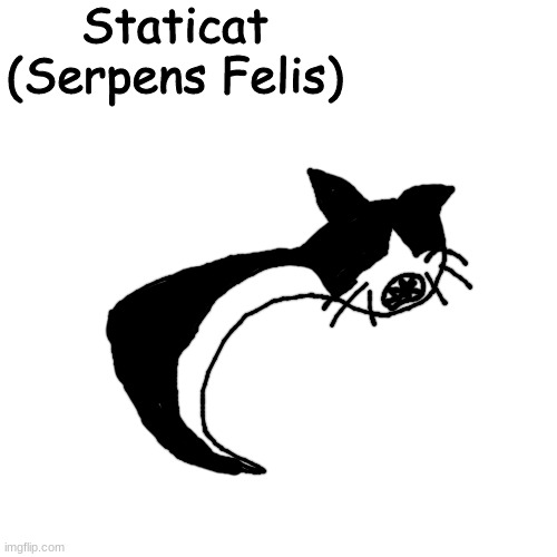 don't let shane dawson find out about this species | made w/ Imgflip meme maker