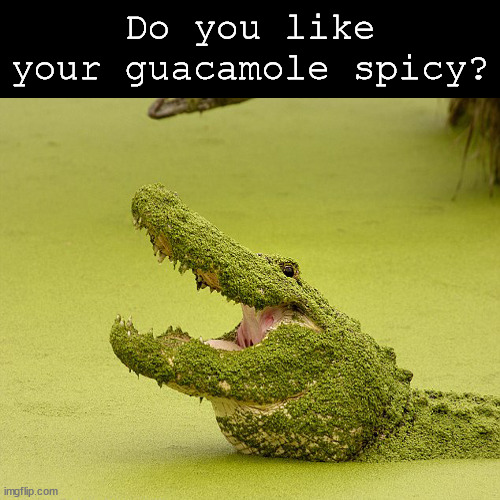 Spicy Guacamole | Do you like your guacamole spicy? | image tagged in spicy,guacamole,food,mexican food,animals,alligator | made w/ Imgflip meme maker