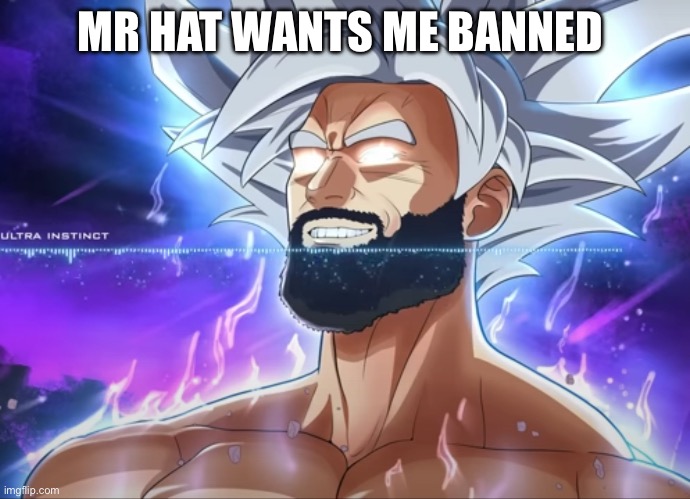 Tera Chad | MR HAT WANTS ME BANNED | image tagged in tera chad | made w/ Imgflip meme maker