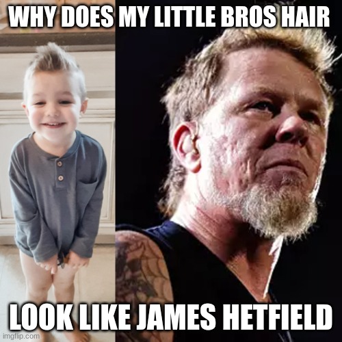 New Lead Singer of Metallica? | WHY DOES MY LITTLE BROS HAIR; LOOK LIKE JAMES HETFIELD | image tagged in so true memes | made w/ Imgflip meme maker