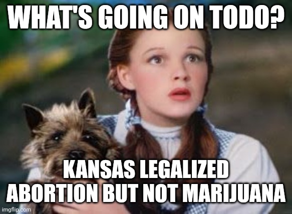 How progressive are they tho | WHAT'S GOING ON TODO? KANSAS LEGALIZED ABORTION BUT NOT MARIJUANA | image tagged in what is going on,abortion,marijuana,liberal logic,that's racist | made w/ Imgflip meme maker