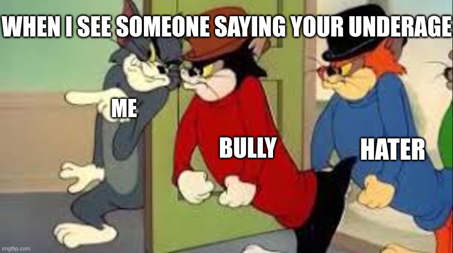 agree with me if it stupid | WHEN I SEE SOMEONE SAYING YOUR UNDERAGE; ME; BULLY; HATER | image tagged in tom and jerry goons | made w/ Imgflip meme maker