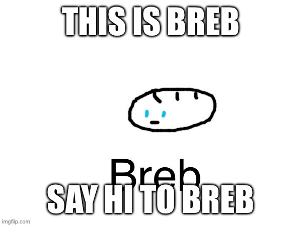 Breb | THIS IS BREB; SAY HI TO BREB | image tagged in funny | made w/ Imgflip meme maker
