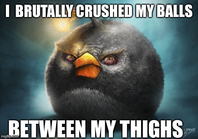 angry birds bomb | I  BRUTALLY CRUSHED MY BALLS; BETWEEN MY THIGHS | image tagged in angry birds bomb | made w/ Imgflip meme maker