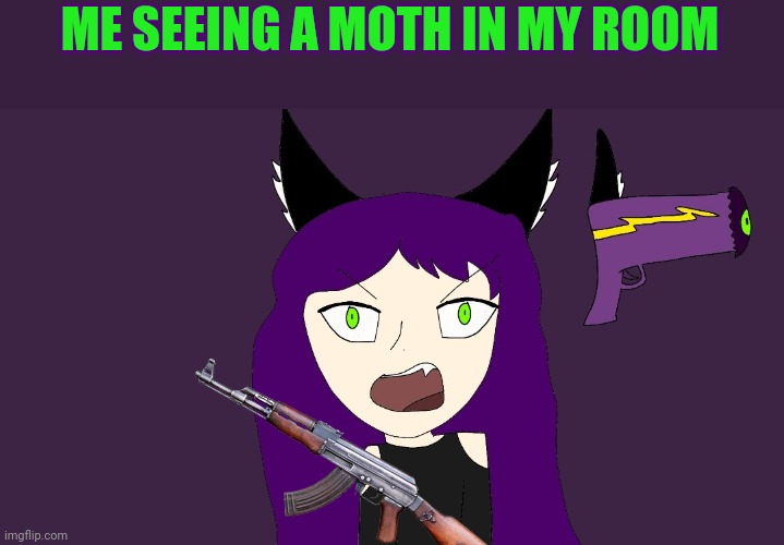 AFM IS MURDEROUS | ME SEEING A MOTH IN MY ROOM | image tagged in afm is murderous | made w/ Imgflip meme maker
