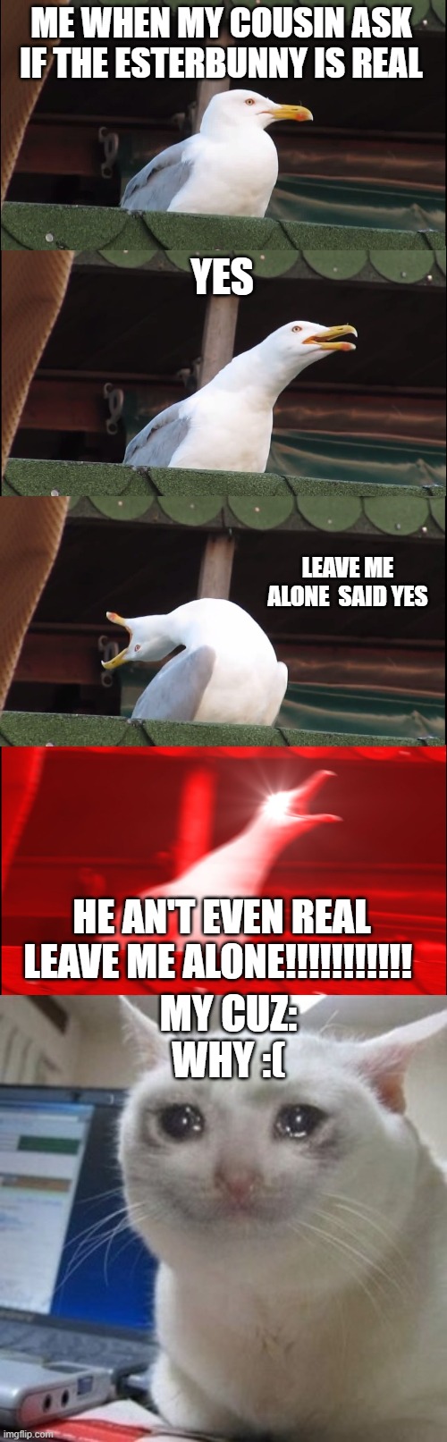 ME WHEN MY COUSIN ASK IF THE ESTERBUNNY IS REAL; YES; LEAVE ME ALONE  SAID YES; MY CUZ: WHY :(; HE AN'T EVEN REAL LEAVE ME ALONE!!!!!!!!!!! | image tagged in memes,inhaling seagull,crying cat | made w/ Imgflip meme maker