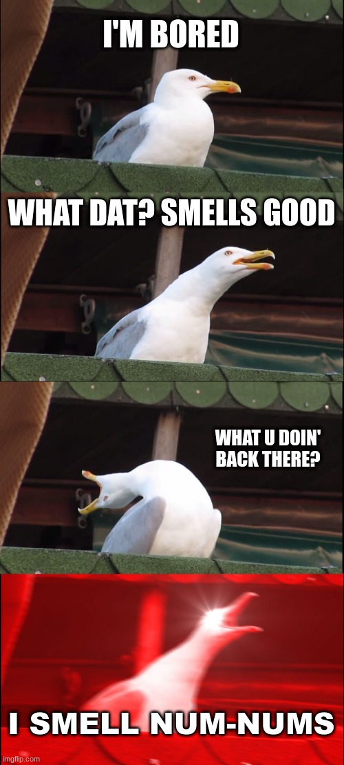 Inhaling Seagull | I'M BORED; WHAT DAT? SMELLS GOOD; WHAT U DOIN' BACK THERE? I SMELL NUM-NUMS | image tagged in memes,inhaling seagull | made w/ Imgflip meme maker