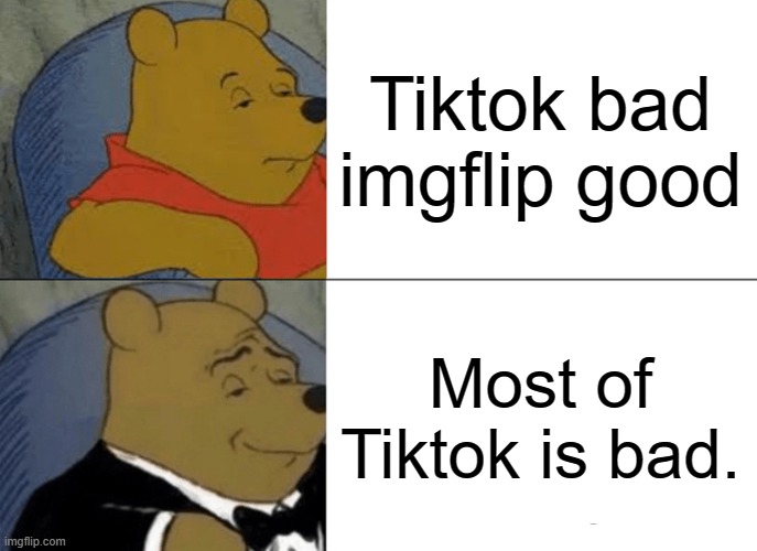 Tuxedo Winnie The Pooh | Tiktok bad imgflip good; Most of Tiktok is bad. | image tagged in memes,tuxedo winnie the pooh | made w/ Imgflip meme maker