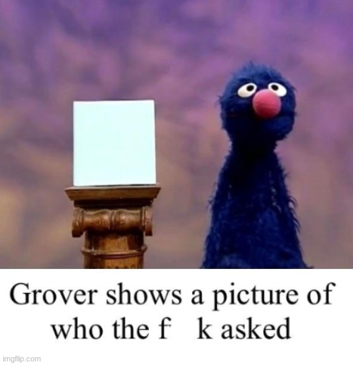 Grover: Who Asked | image tagged in grover who asked | made w/ Imgflip meme maker