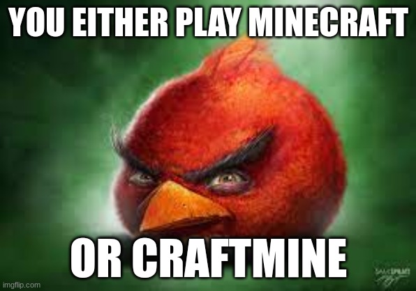 Realistic Red Angry Birds | YOU EITHER PLAY MINECRAFT; OR CRAFTMINE | image tagged in realistic red angry birds,memes,gaming,minecraft | made w/ Imgflip meme maker