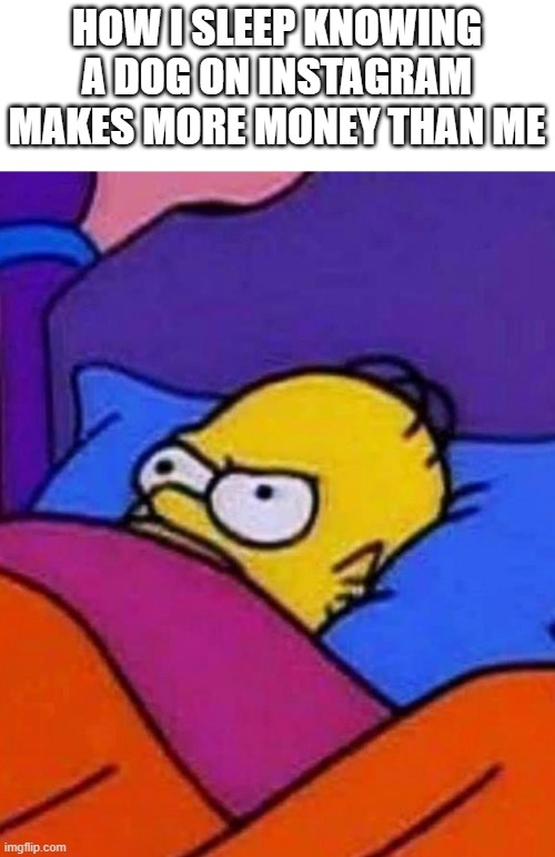annoying af | HOW I SLEEP KNOWING A DOG ON INSTAGRAM MAKES MORE MONEY THAN ME | image tagged in homer simpson lying awake | made w/ Imgflip meme maker