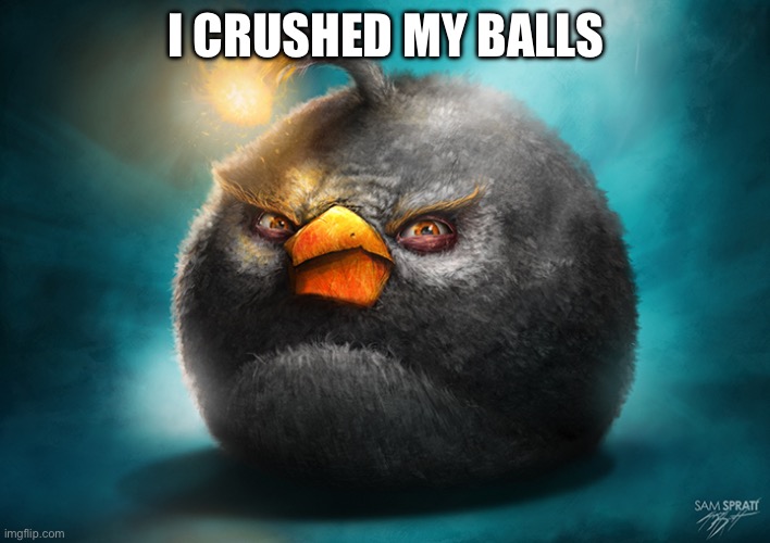 Realistic Bomb Angry Bird | I CRUSHED MY BALLS | image tagged in realistic bomb angry bird | made w/ Imgflip meme maker