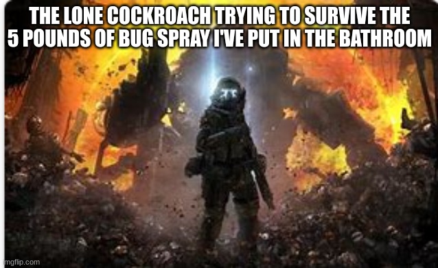 cockroach | THE LONE COCKROACH TRYING TO SURVIVE THE 5 POUNDS OF BUG SPRAY I'VE PUT IN THE BATHROOM | image tagged in titanfall 2,cockroach | made w/ Imgflip meme maker