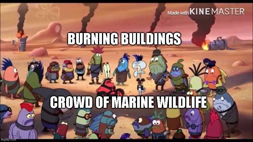 Anti-Meme No.1 | BURNING BUILDINGS; CROWD OF MARINE WILDLIFE | image tagged in welcome to the apocalypse mr squidward | made w/ Imgflip meme maker