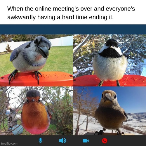 image tagged in wholesome | made w/ Imgflip meme maker