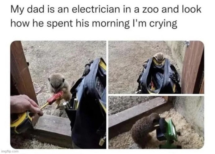 Wholesome electrician | image tagged in wholesome | made w/ Imgflip meme maker