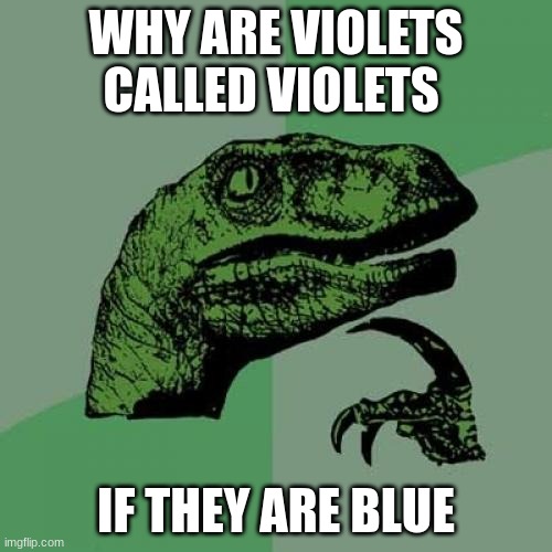 Philosoraptor Meme | WHY ARE VIOLETS CALLED VIOLETS; IF THEY ARE BLUE | image tagged in memes,philosoraptor | made w/ Imgflip meme maker