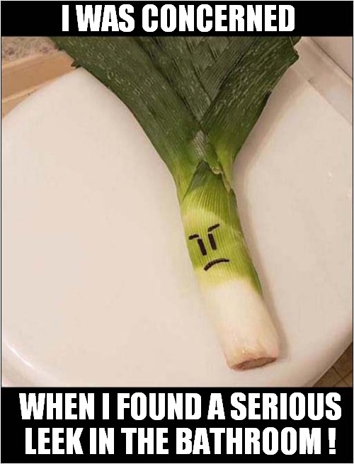 Oh No ... Not More Work ! | I WAS CONCERNED; WHEN I FOUND A SERIOUS LEEK IN THE BATHROOM ! | image tagged in concern,leek,leak,play on words | made w/ Imgflip meme maker