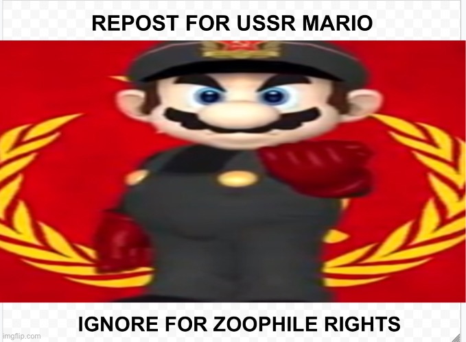 Repost or your a rapist | image tagged in ussr mario | made w/ Imgflip meme maker