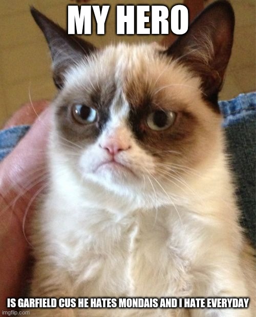 Grumpy Cat Meme | MY HERO; IS GARFIELD CUS HE HATES MONDAIS AND I HATE EVERYDAY | image tagged in memes,grumpy cat | made w/ Imgflip meme maker