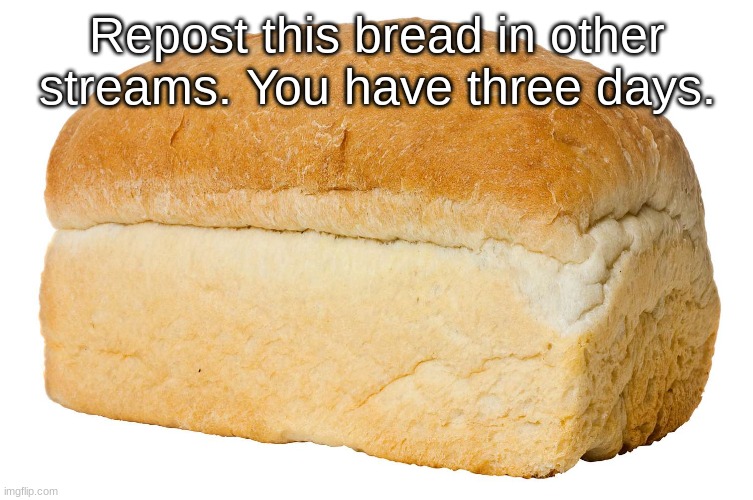 TELEPORT (REPOST) BREAD FOR THREE DAYS. | Repost this bread in other streams. You have three days. | made w/ Imgflip meme maker