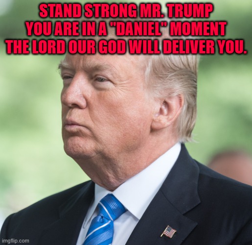 Donald J Trump | STAND STRONG MR. TRUMP YOU ARE IN A "DANIEL" MOMENT THE LORD OUR GOD WILL DELIVER YOU. | image tagged in donald j trump | made w/ Imgflip meme maker